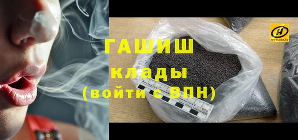 хмурый Алексин