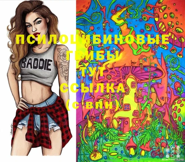прущий лед Алзамай