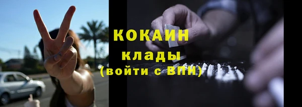 хмурый Алексин