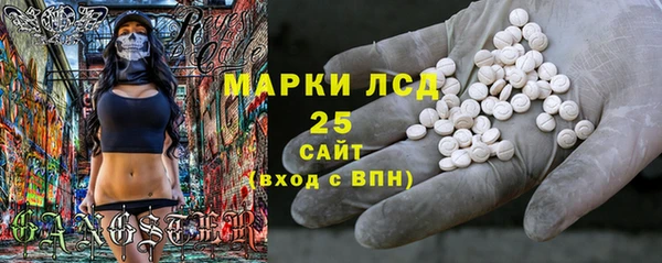 прущий лед Алзамай