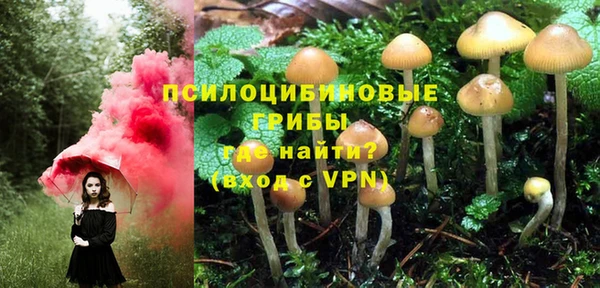 прущий лед Алзамай