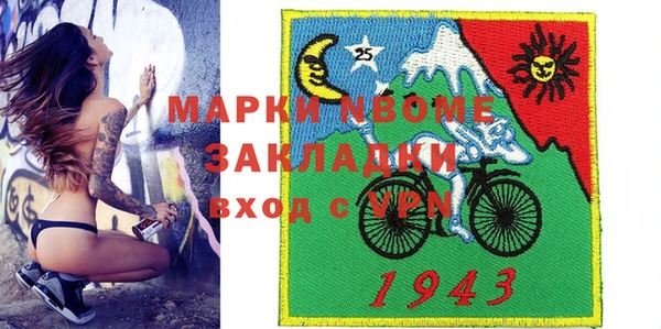 хмурый Алексин